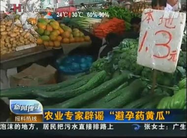 农业专家辟谣“避孕药黄瓜”