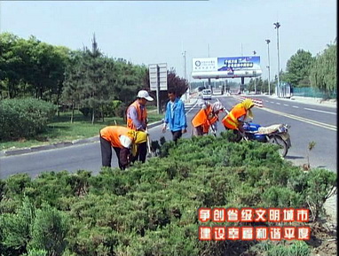 平度：城乡环境整治不容丝毫懈怠
