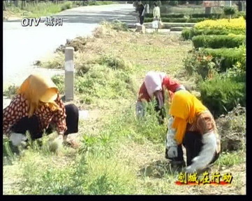 城阳：河套街道积极开展环境综合整治