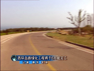 黄岛：西环岛路绿化工程6月完工