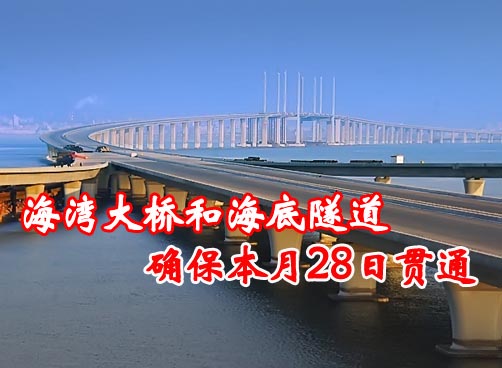 隧道口拆除违建种景观树 海湾大桥计划20日完成沥青铺设