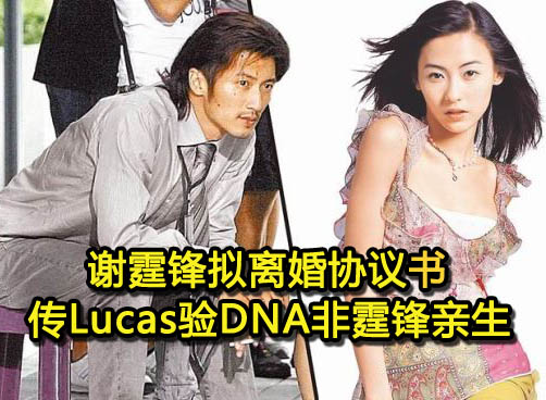 谢霆锋争取儿子监护权，担忧张柏芝哭闹