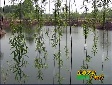 即墨：全力打造生态家园 构建和谐文明乡村