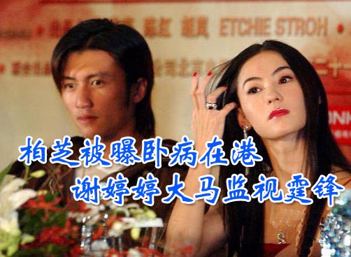 传谢霆锋同意离婚 今生不愿再见张柏芝