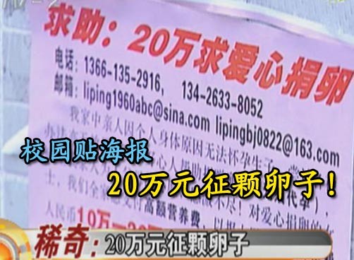 20万元征颗卵子 违法交易不受保护