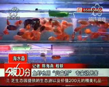 鱼虾也用“兴奋剂” 专家说无害