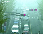 青岛拉响台风黄色预警 今有中到大雨局部暴雨