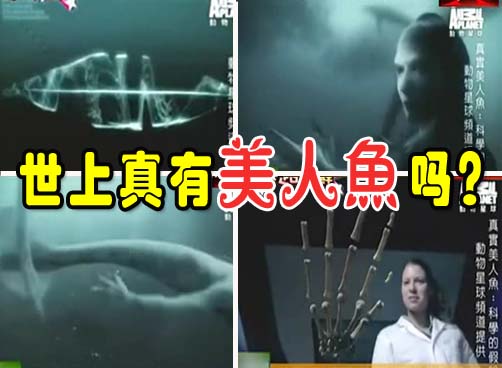 科学家或已发现真正的美人鱼 神似阿凡达（视频）