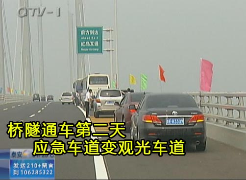 首批桥隧直通车上午发车 600名游客领略桥隧风光