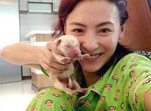 为给谢霆锋生第三胎张柏芝损失5000万