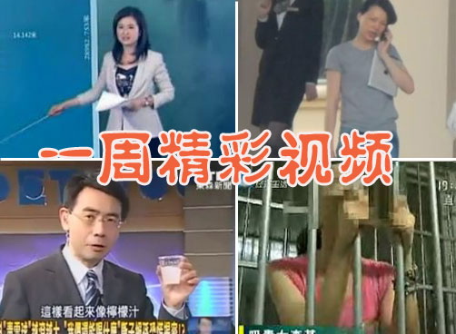 央视关注渤海漏油事件 董卿小三变正室？