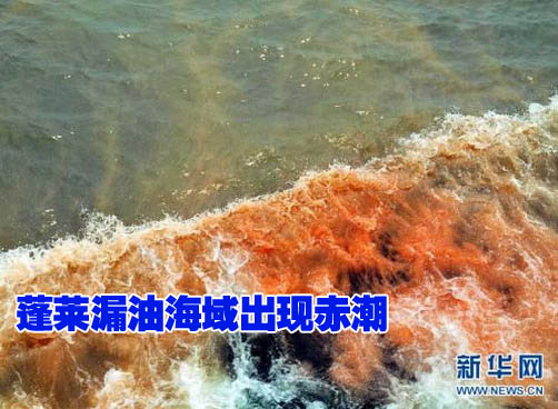渤海湾溢油事故现场附近现巨大赤潮带