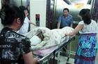 喻扬病情恶化现脑死亡 各项生命体征衰竭