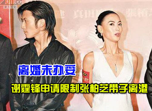张柏芝不签字谢霆锋要等一年，柏芝继续刷霆锋信用卡