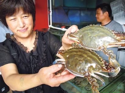 南方螃蟹大量上市 价格拦腰砍最低15元/斤