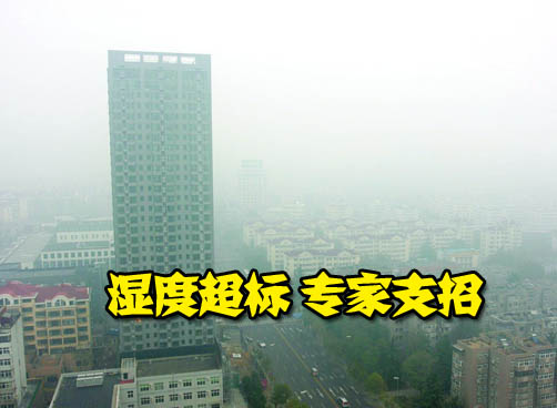 居民家湿度超标 多喝薏米水、姜水可祛除湿气