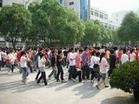 高考专科二批一志愿录取 两成文科高校零投档