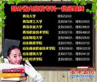 驻青4高校公布专科一批录取线