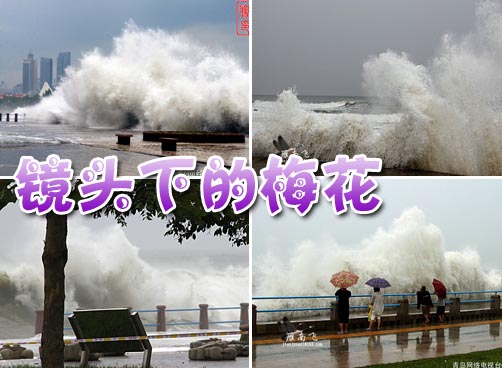 “梅花”真的来了，拍客全程记录！