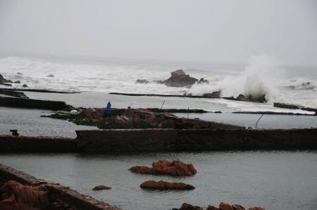 大浪鲸吞3鲍鱼池 养殖户3年心血打水漂