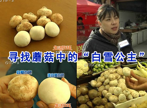 身边的食物你信任吗？
