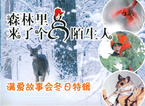 满爱故事会冬日特辑：《森林里来了个陌生人》
