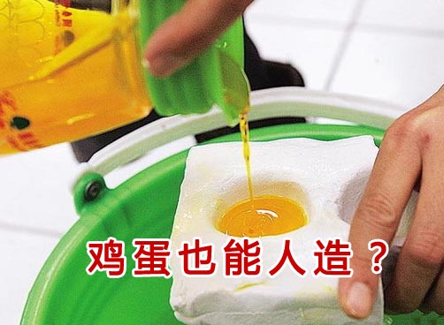 培训技术打广告 人造鸡蛋谁敢吃
