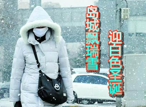 市区小雪持续半小时　平度灰埠镇雪最大