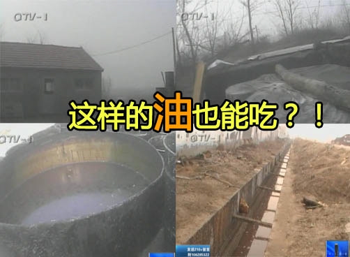 树林深处小作坊提炼“鸡皮油”
