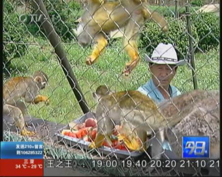 冰块西瓜加空调　动物降温有一套