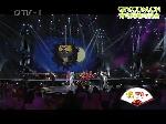 歌曲 嫁人要嫁灰太狼