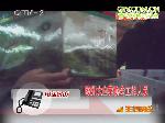 马上就办：名牌蔬菜 真真假假？