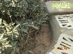 马上就办：山上蓄水山下遭殃
