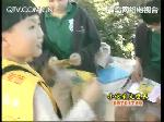 小记者访问美国--洛杉矶