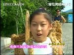小记者暑期韩国见闻--走进韩屋村