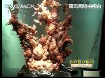 小记者宝岛台湾行--游101大厦